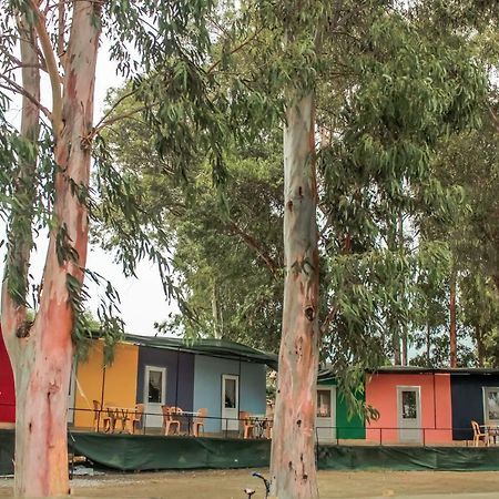 Patara Woody Hostel & Camping 외부 사진