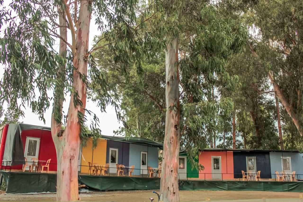 Patara Woody Hostel & Camping 외부 사진