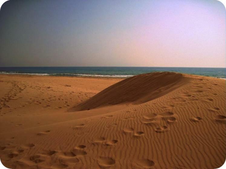 Patara Woody Hostel & Camping 외부 사진